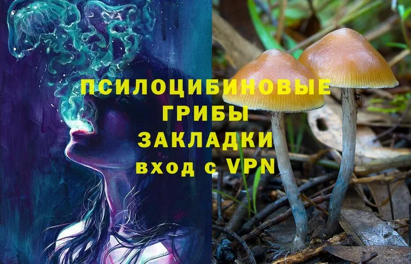 Псилоцибиновые грибы MAGIC MUSHROOMS  блэк спрут   Алексин 